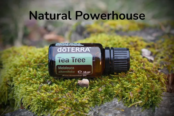 More Than Just a Scent: The Science Behind Tea Tree Oil's Magic