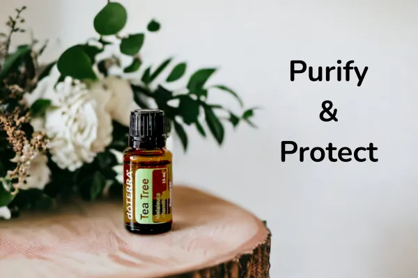 The Everyday Benefits of Tea Tree Oil