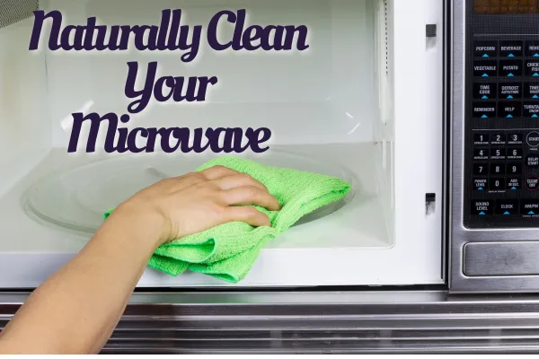 A Fresh Start for Every Reheat