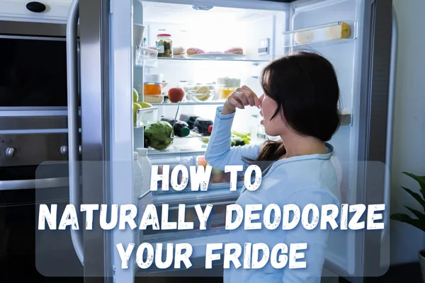 Freshen Up Your Fridge Naturally—No Chemicals Needed