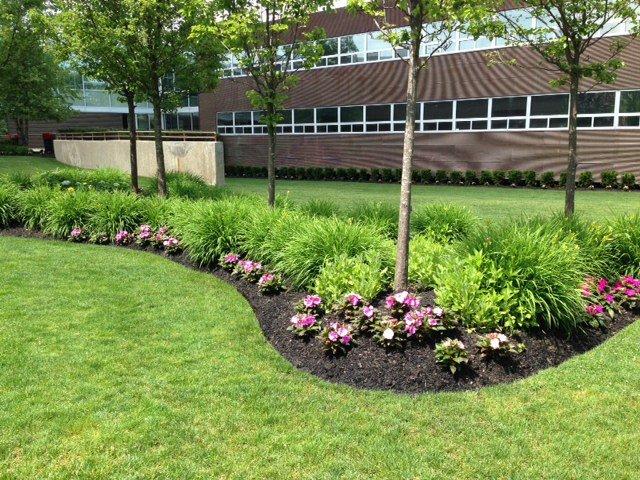 Curb Appeal Counts: Why Commercial Landscaping Is More Than Just Mowing Grass