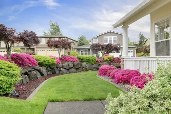 7 Must-Know Seasonal Landscaping Tips for Beautiful Yards in St. Augustine