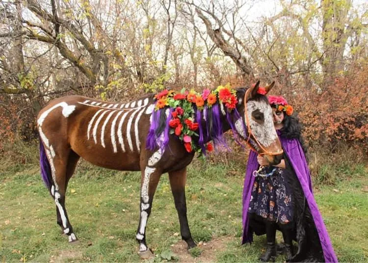 Halloween Horse Costume