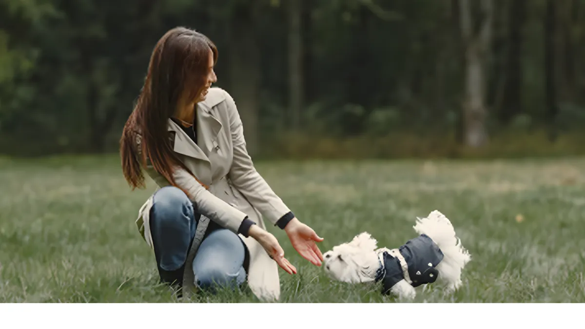 Give Your Puppy the Best Start in Life with the Right Puppy Boarding and Training 