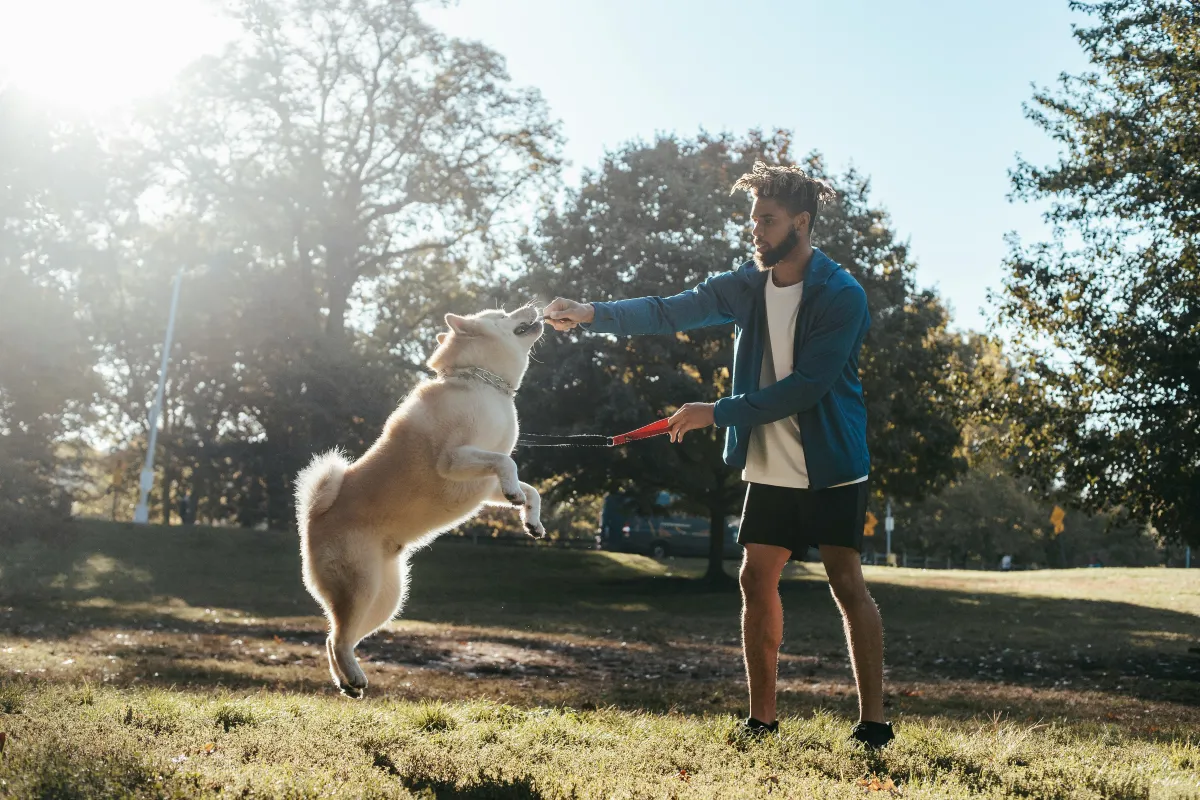 Top Dog-Friendly Parks in Raleigh, NC 
