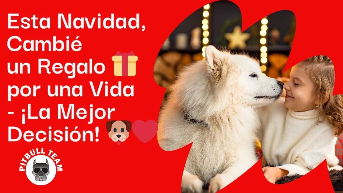 🎄 ¡Adopción Navideña Increíble! De Mascota a Miembro de la Familia 🐾