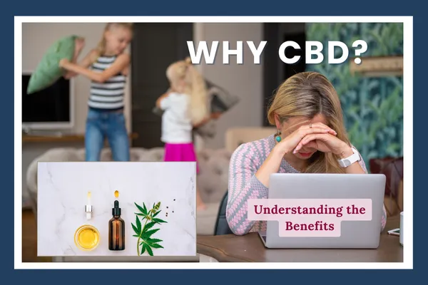Calm in the Chaos: How CBD Supports Stress, Sleep & Everyday Balance