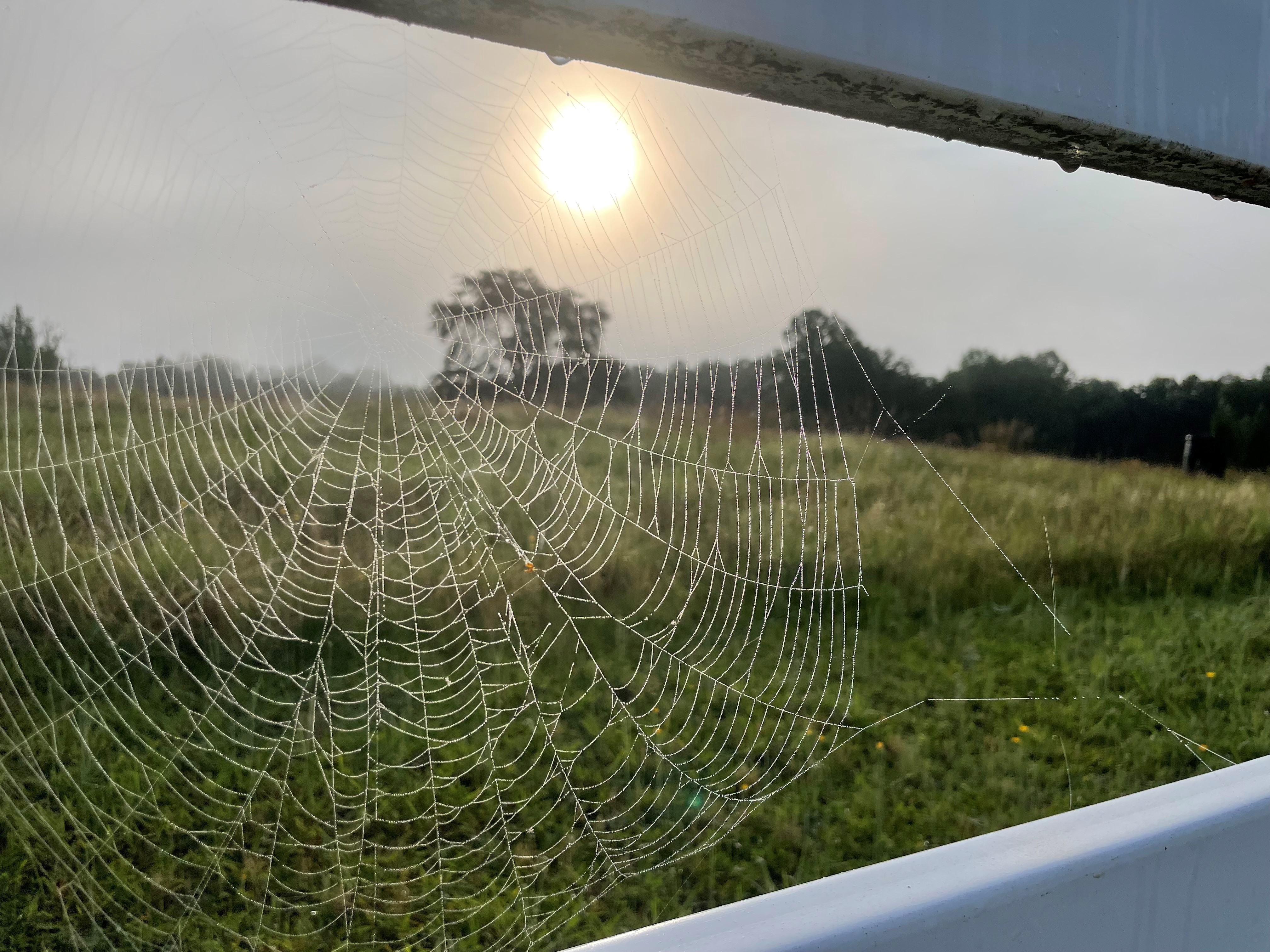 The Second Cornerstone of Epigenetics – Stress Management