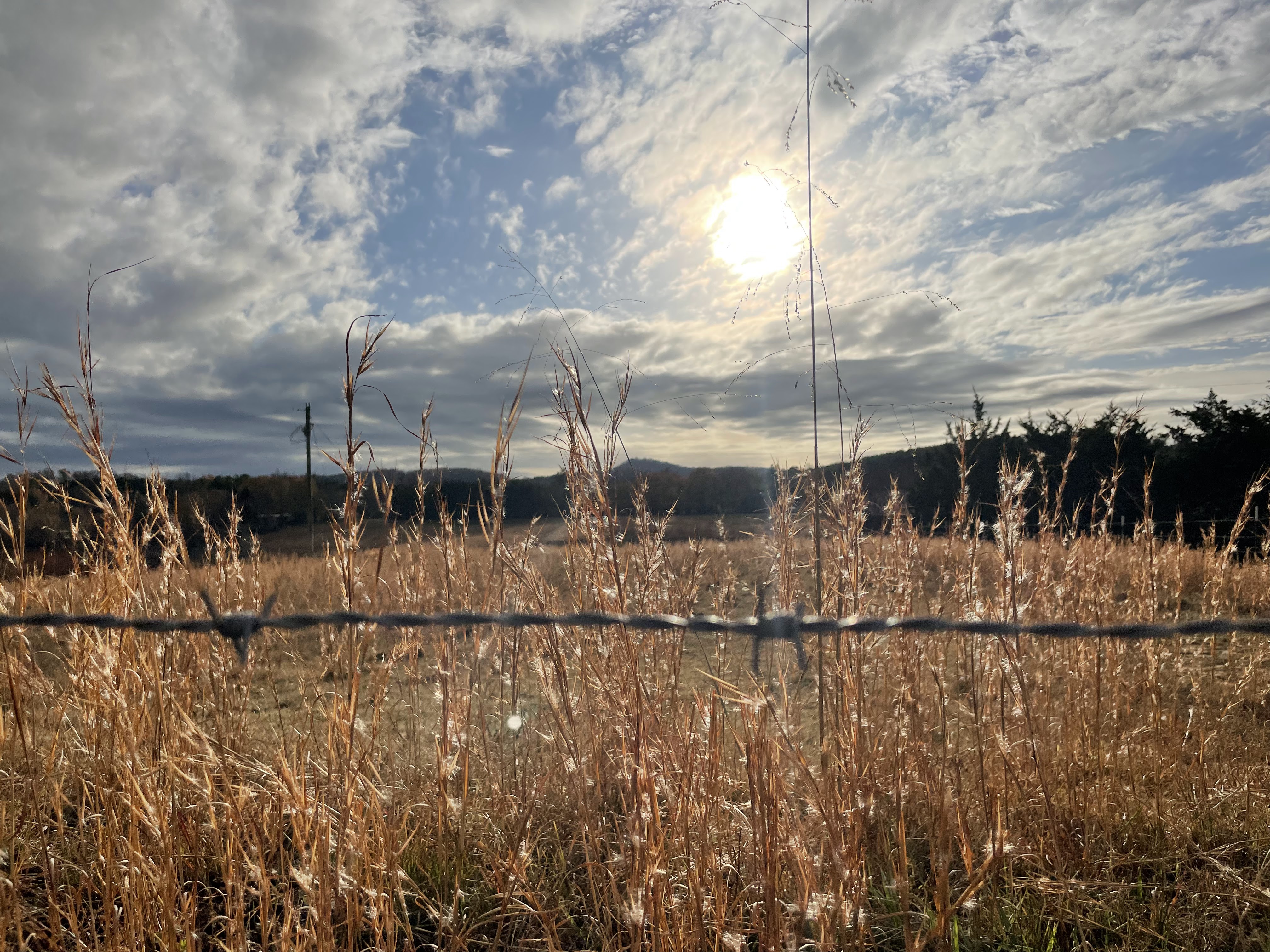 The Third Cornerstone of Epigenetics – Environmental Exposures