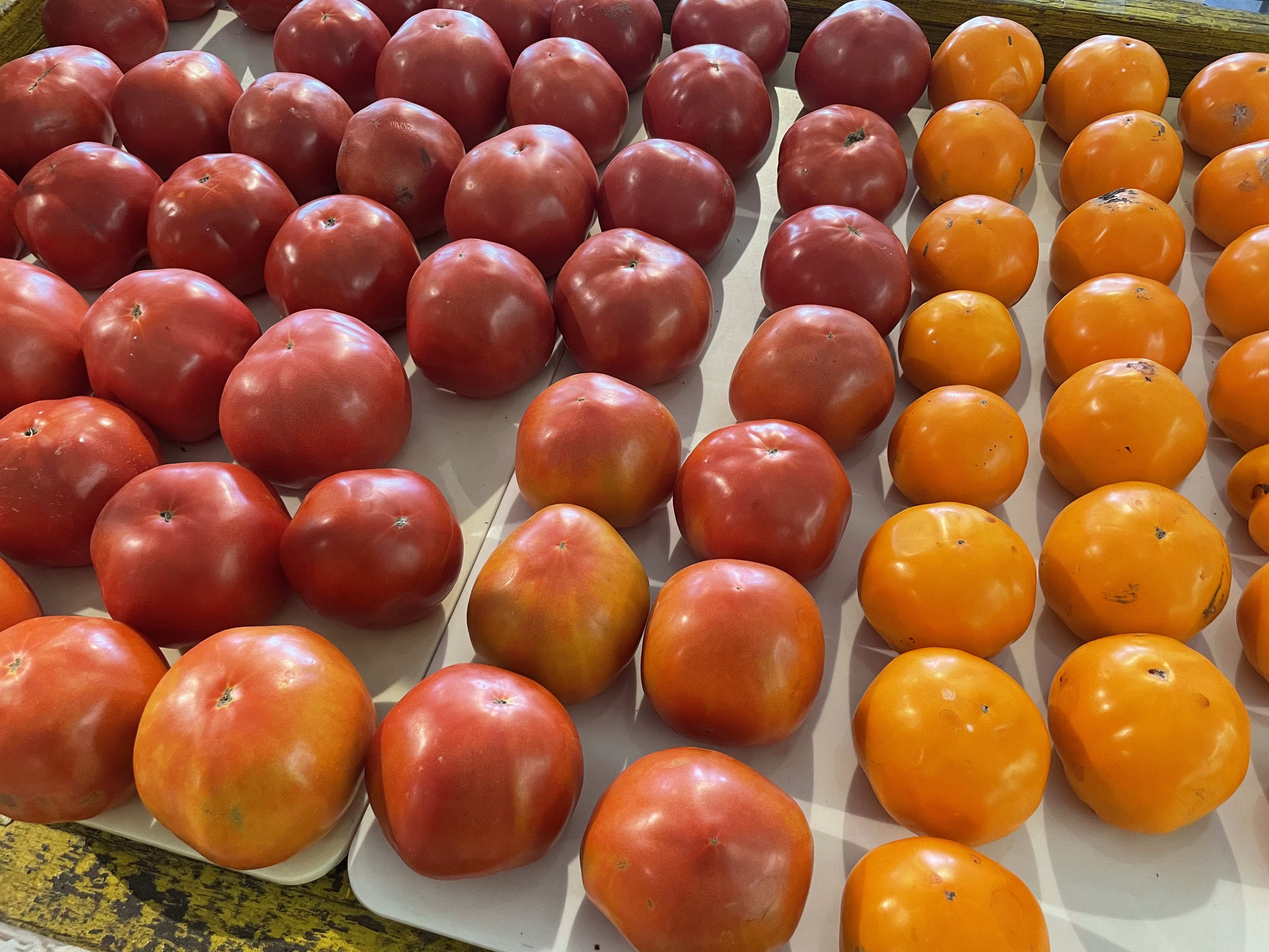 Fourth Cornerstone of Epigenetics – Food Choices