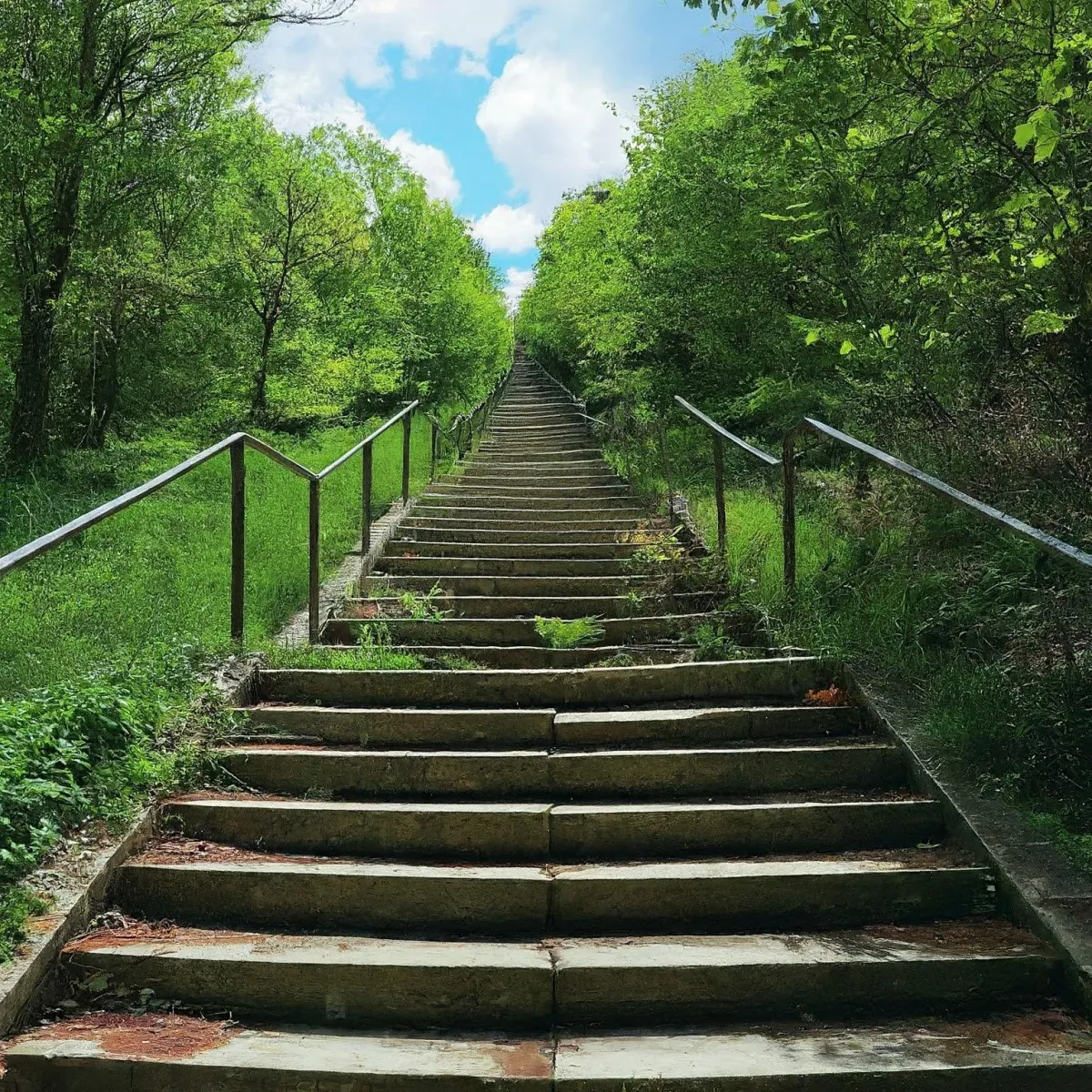 old stairs leading up a mountain surrounded by forest