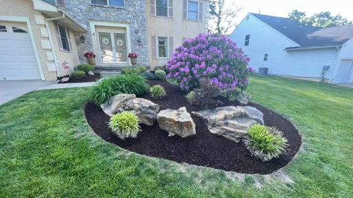 What Are The Key Benefits Of Native Plants In Landscaping