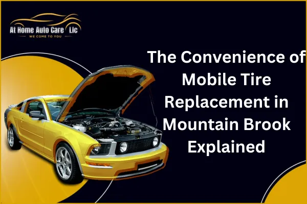 Mobile service van replacing tires in Mountain Brook.