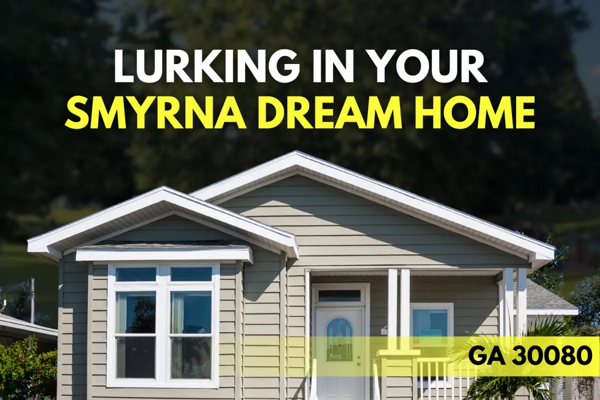 What Every Buyer Needs to Know: Findings in Smyrna