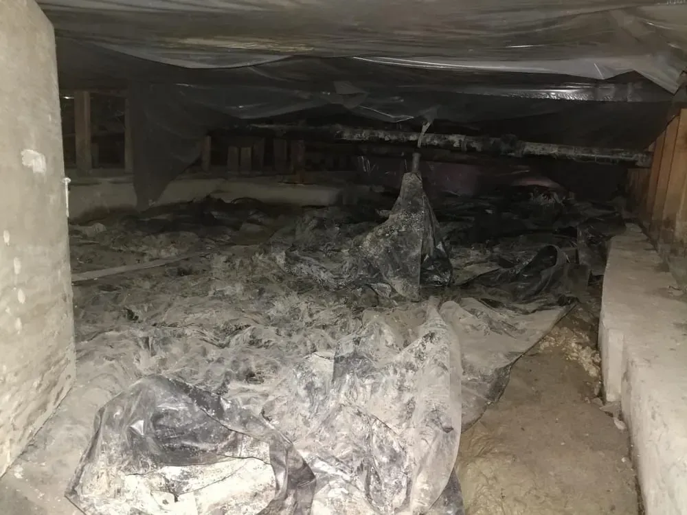 Moisture in Crawl Spaces: Causes, Problems, and Solutions