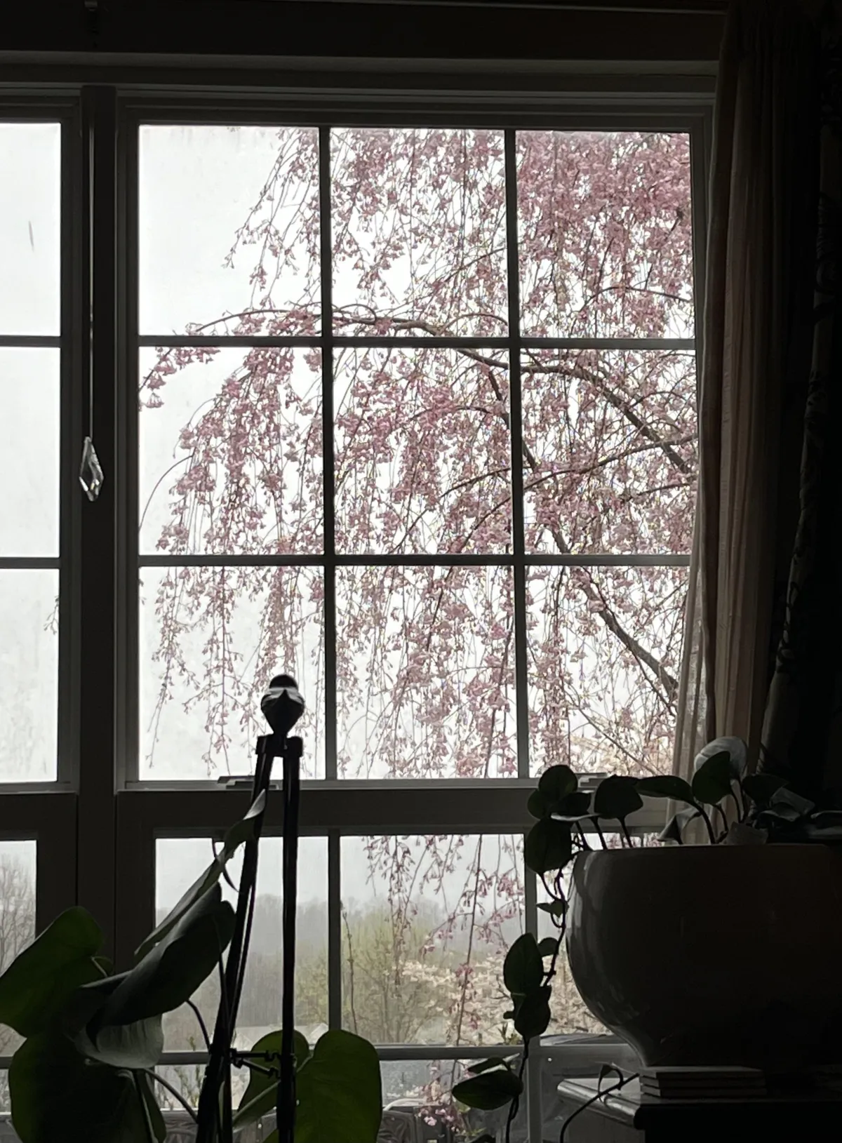 Looking Outside
