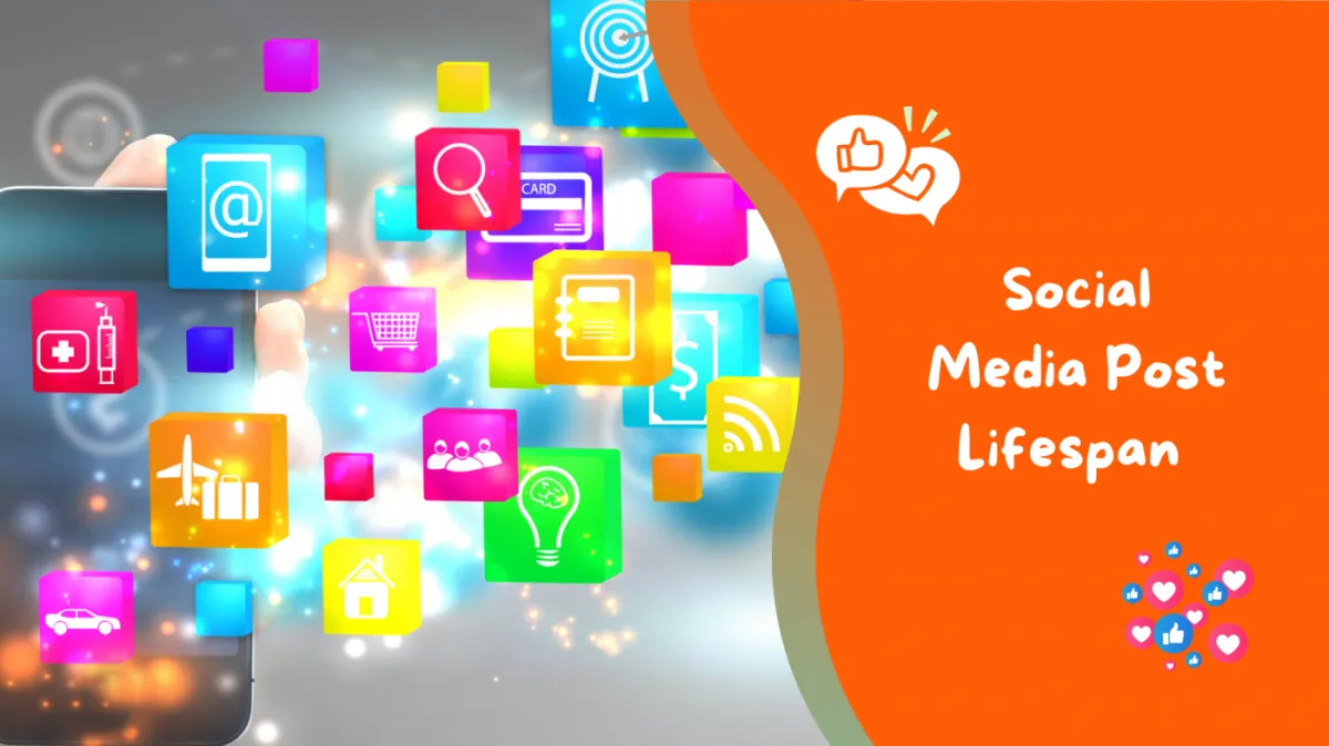 The Social Media Post Lifespan