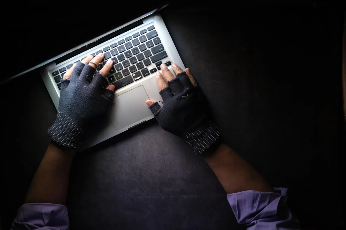 Share your Passwords with your Virtual Assistant without Getting Hacked