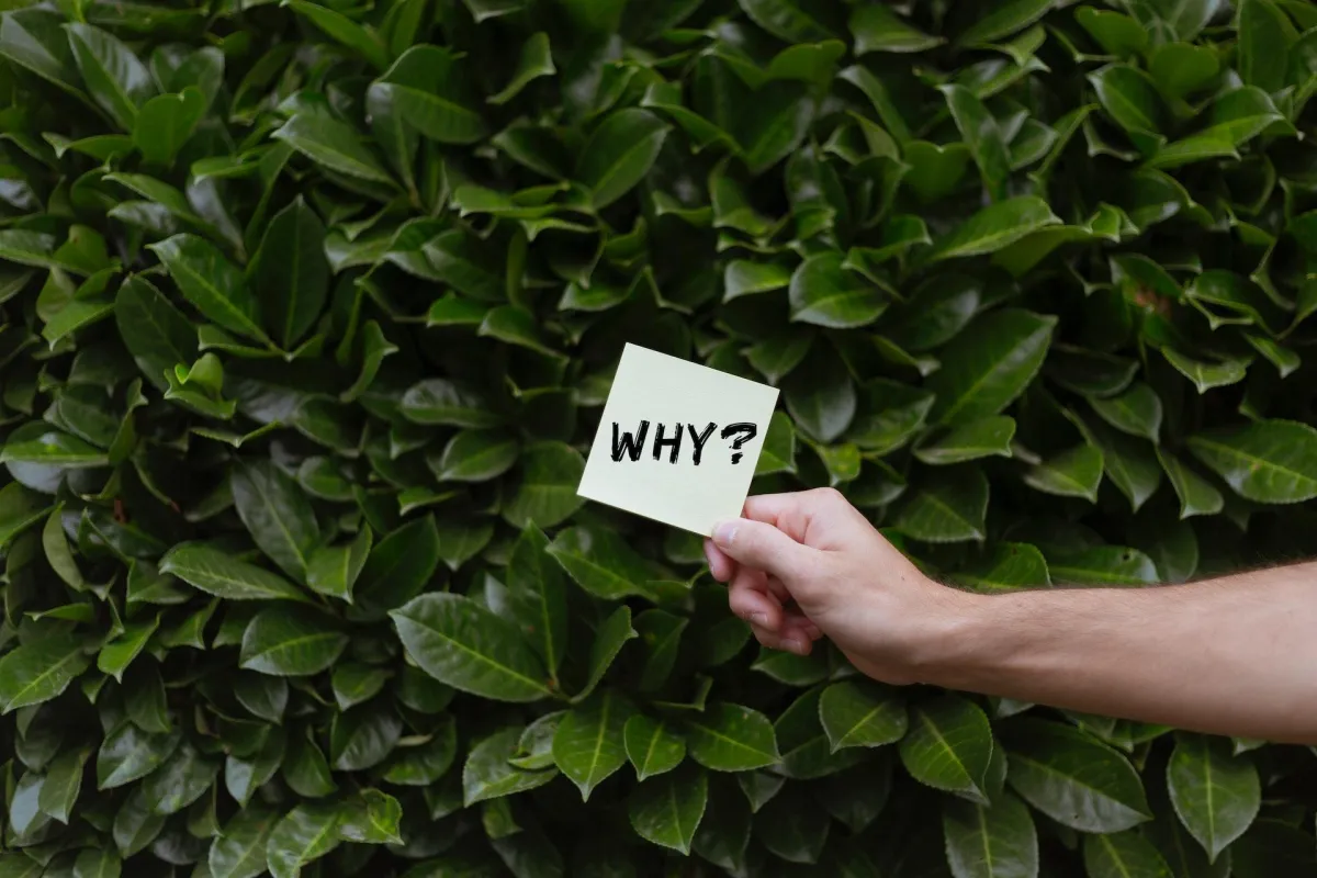 Reasons Why You Need to Outsource