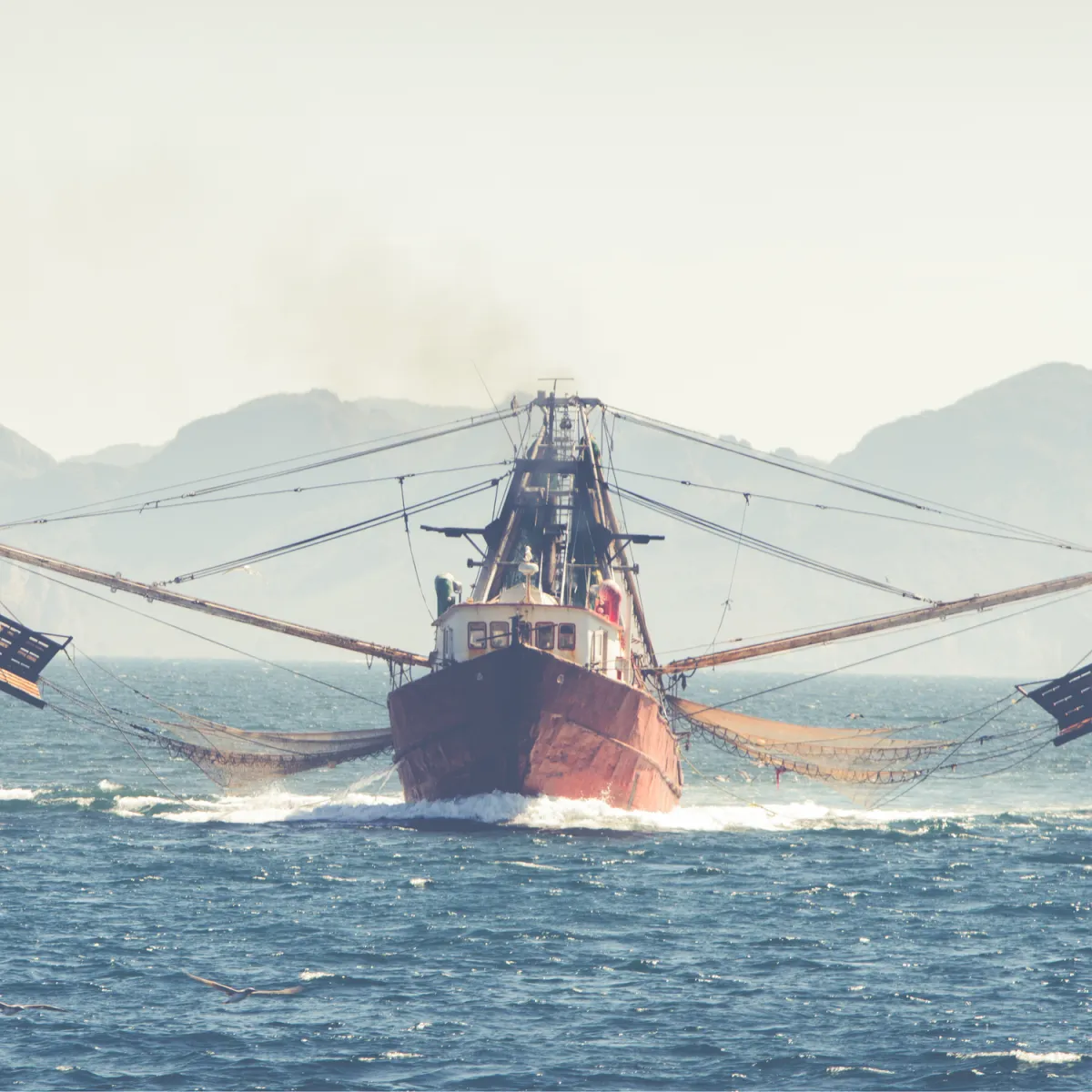 A large fishing boat with extended side nets sails on the ocean, with mountainous terrain visible in the hazy background. The boat appears to be actively trawling, as suggested by the extended nets and its forward movement, creating small waves and a wake in the water. The scene is calm, with the focus on the boat's structure and its fishing equipment.