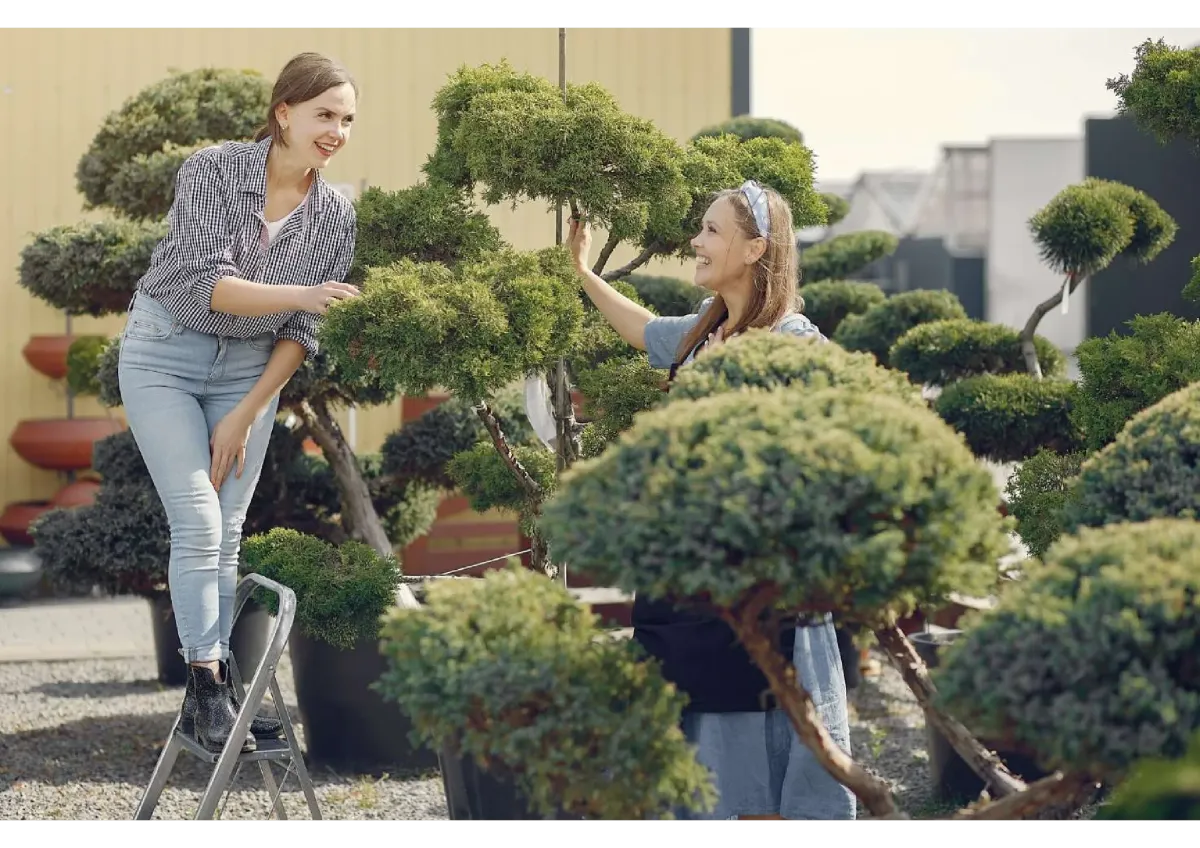 ROI: 31% Want a Green Card? Invest in a Profitable Lawn/Landscaping Business.