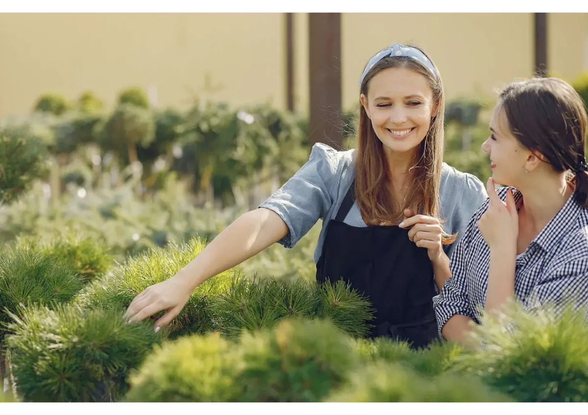 ROI: 36.4% - Why Overlook an Earning Potential in a Lawn/Landscaping Business Priced at $500,000?