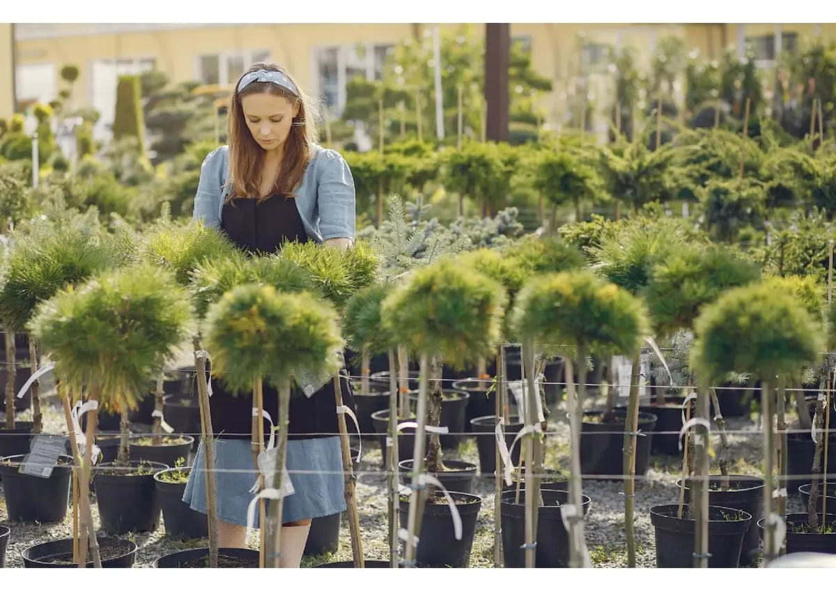 ROI: 51% - Looking for a Stable and Profitable Commercial Landscaping Company? All for just $1 million!