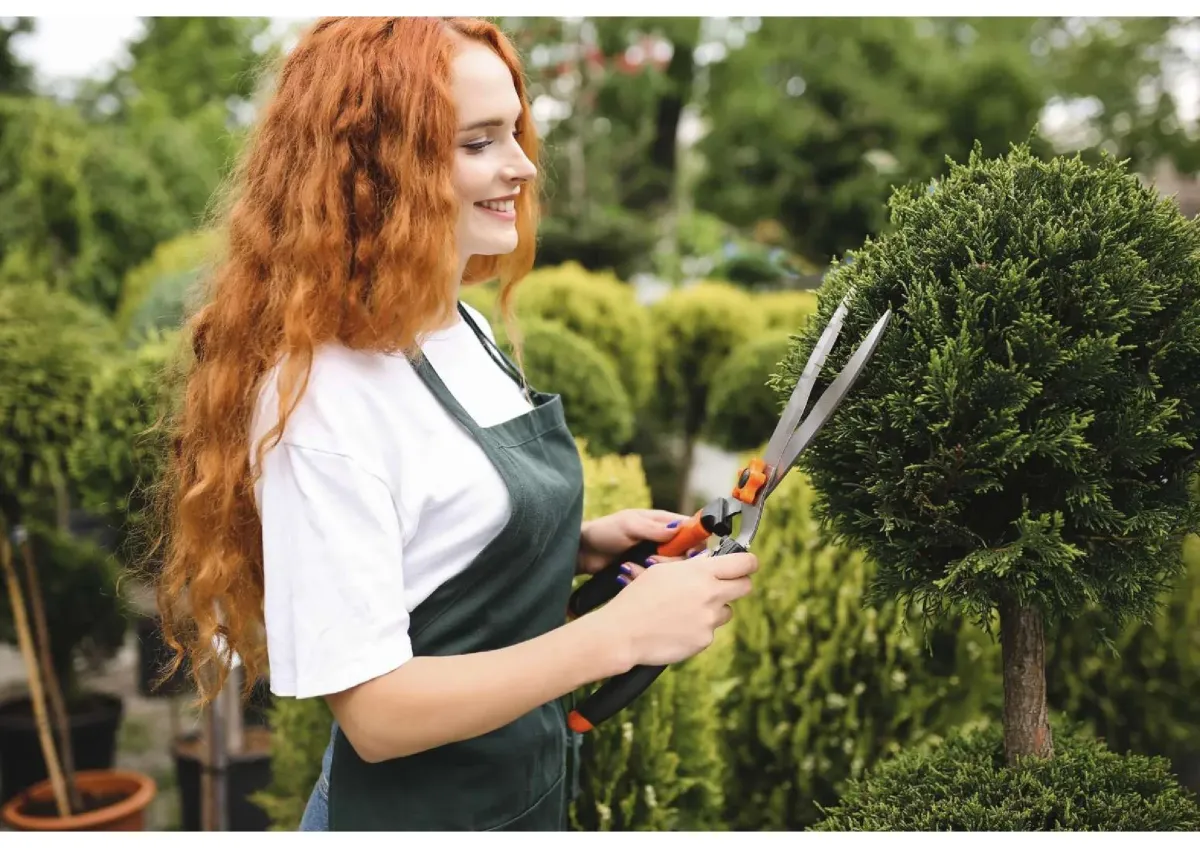 ROI: 30.4% - Searching for a Profitable Venture in Florida? How about a $1,399,000 Lawn/Landscaping Business?