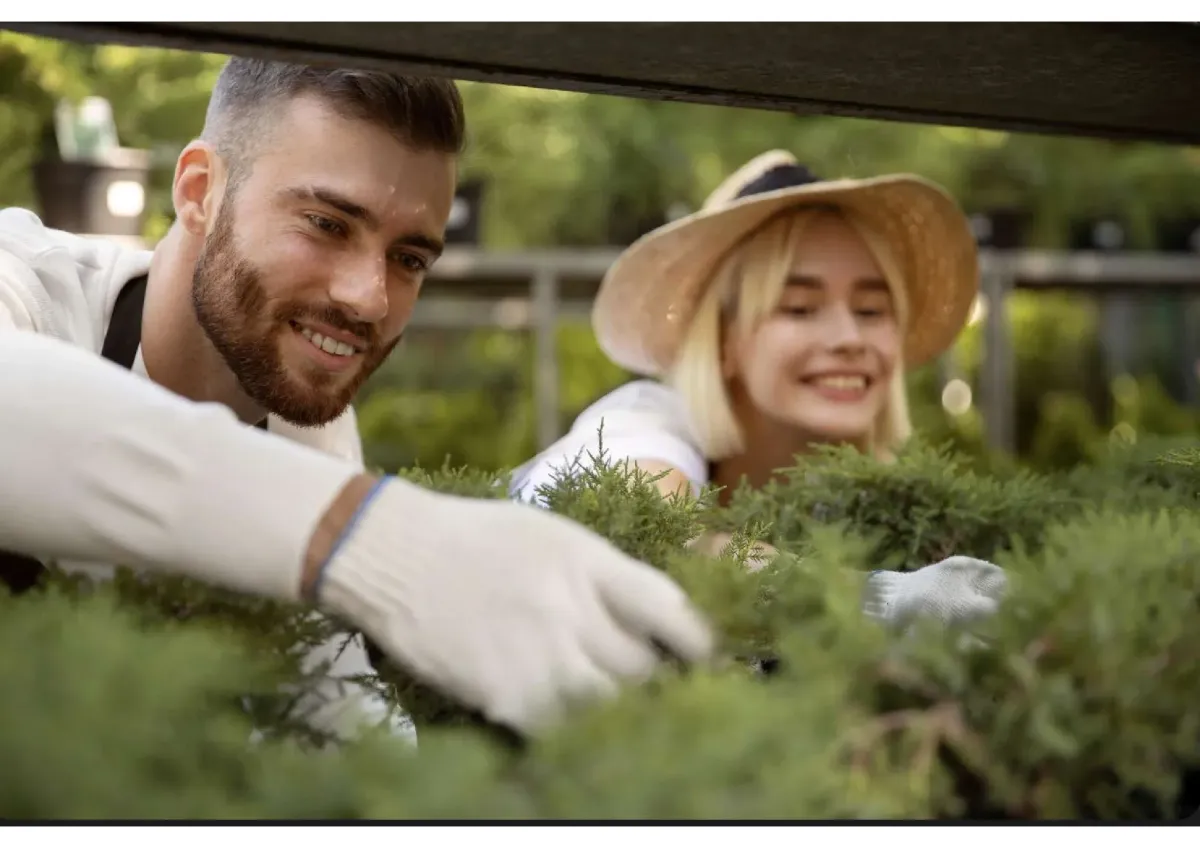 ROI: 6% - Is A 6% ROI on a $6M Investment In A Lawn/Landscaping Business Appealing? This Opportunity Might Just Be Your Ticket to A Green Card!