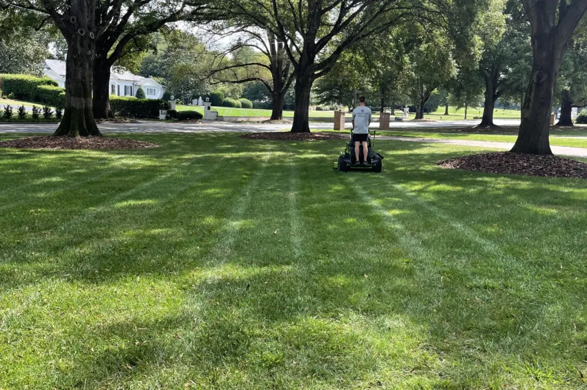 Lawn Care