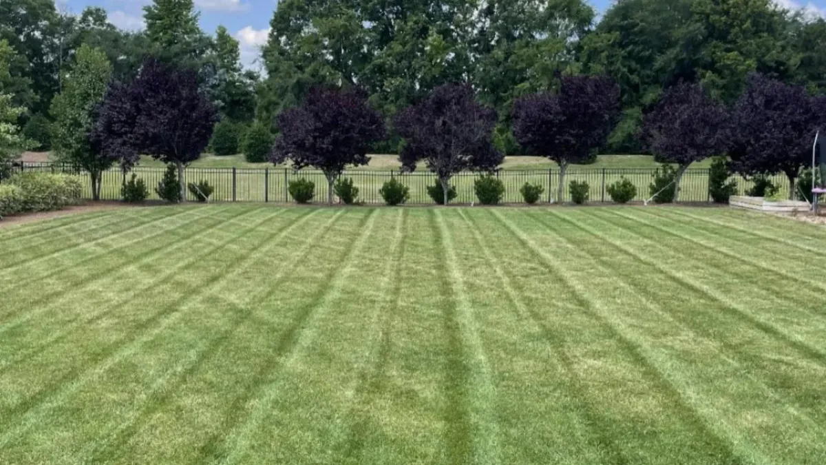 Hiring A Professional Landscaper