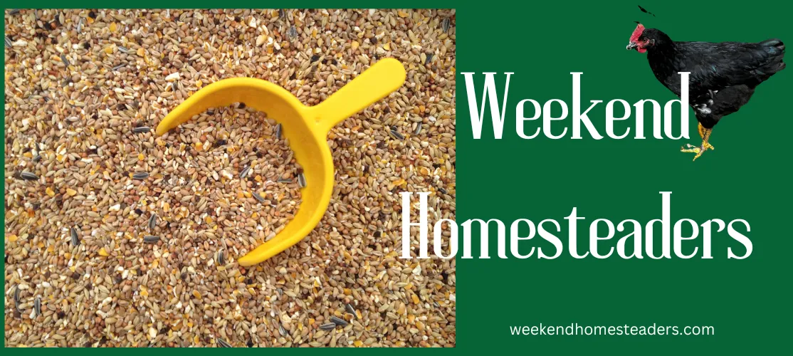 grain cover photo