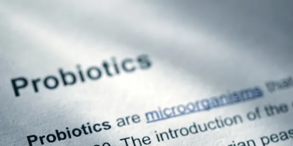 Probiotics: What Different Strains Do and Why You Need Them with Dr. Ginsberg