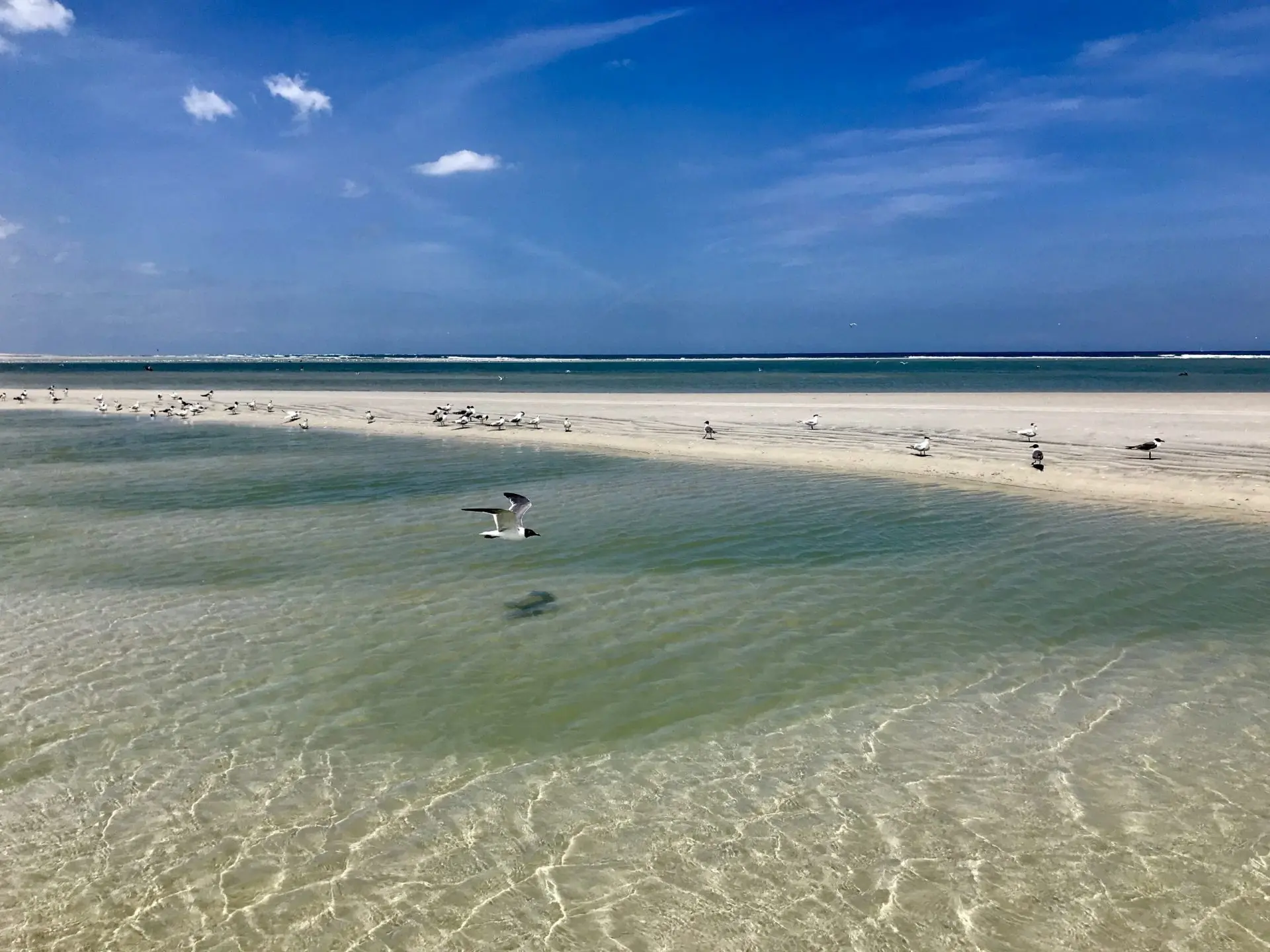 Escape to the Coast: Huguenot Memorial Park in Jacksonville