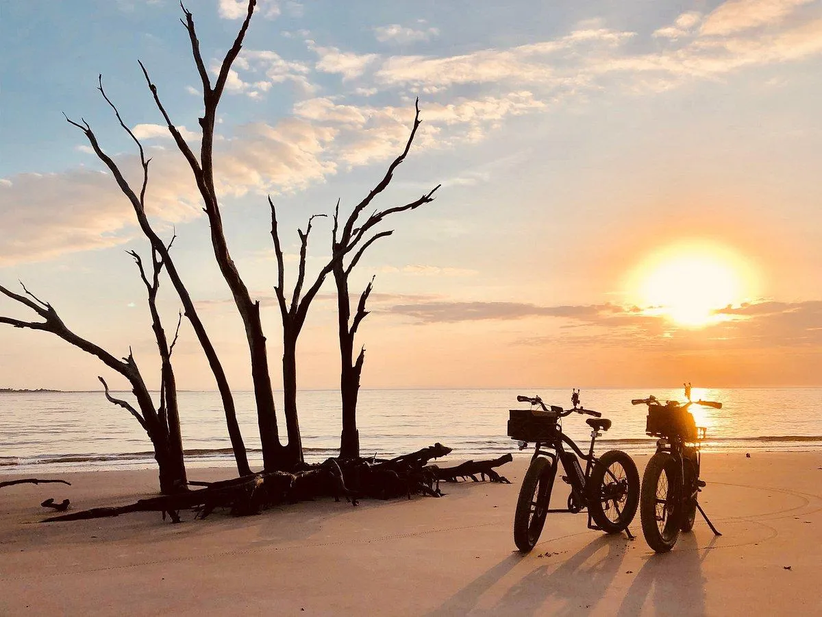 Discover the Untamed Beauty of Big Talbot Island State Park – Jacksonville’s Coastal Gem