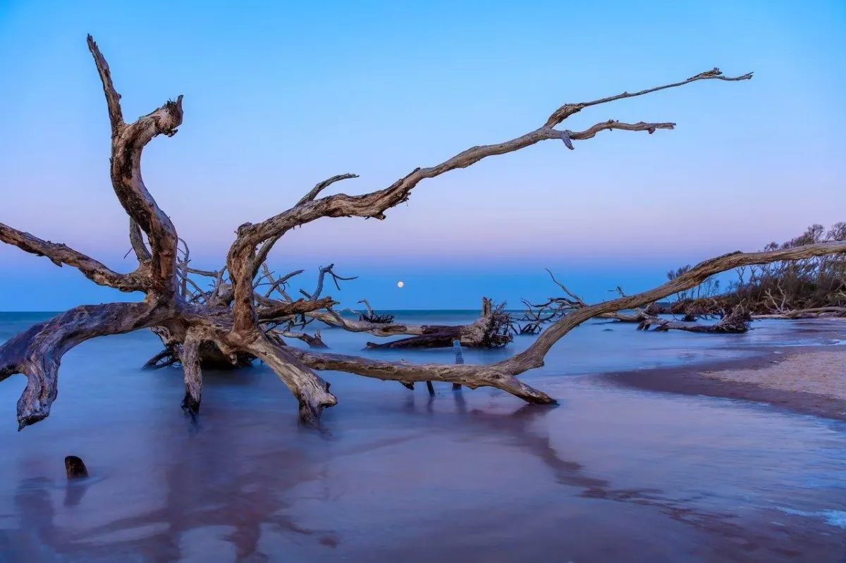  Discover Paradise at Little Talbot Island State Park – Jacksonville’s Coastal Gem 