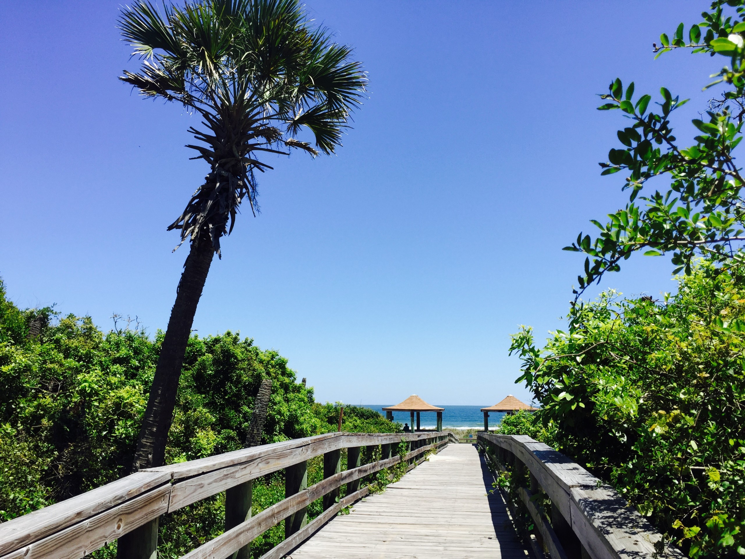 Kathryn Abbey Hanna Park: Where Beach Days, Nature Trails, and Laid-Back Florida Living Come Together
