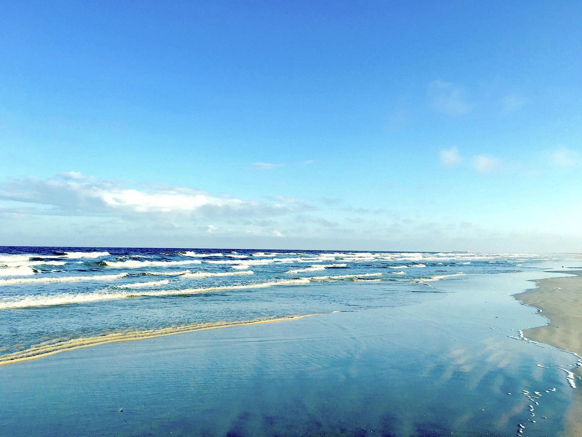 Discover the Natural Beauty of Little Talbot Island State Park in Jacksonville, FL