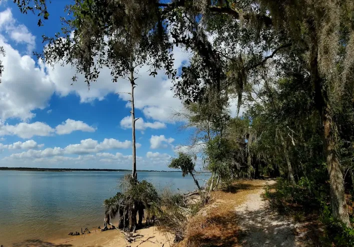 Whether you’re into kayaking, birdwatching, or a scenic hike, GTM Reserve is the perfect spot to disconnect from the hustle and soak in Florida’s natural beauty.