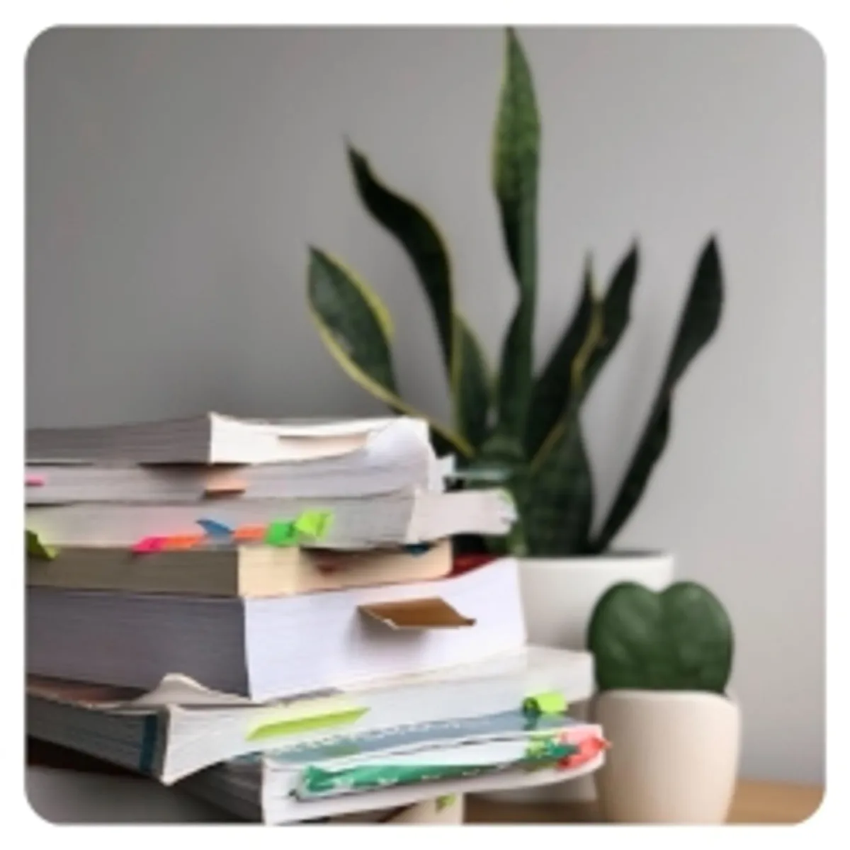 stack of books next to a houseplant