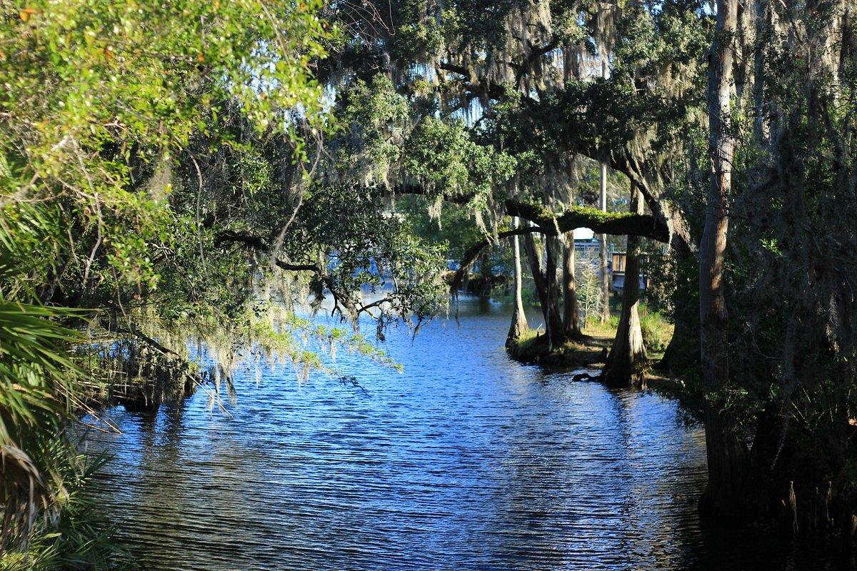 Shingle Creek Park