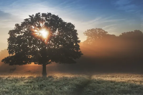 Start Your Year With Intention