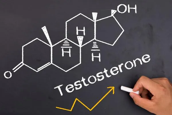 testosterone ellefsen sedalia missouri mens health sports