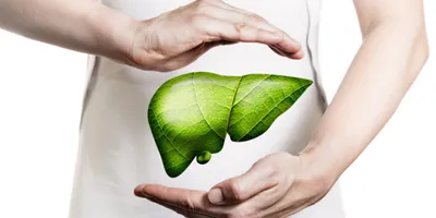 Gut & Liver Health Are Game-Changers for Athletes