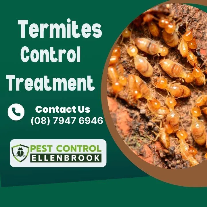 benefits-of-using-exterminator-services