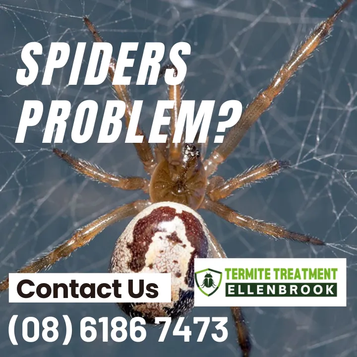 protect-your-garden-pests