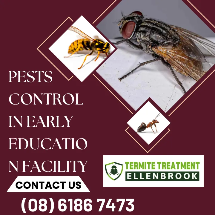 pest-control-for-daycares