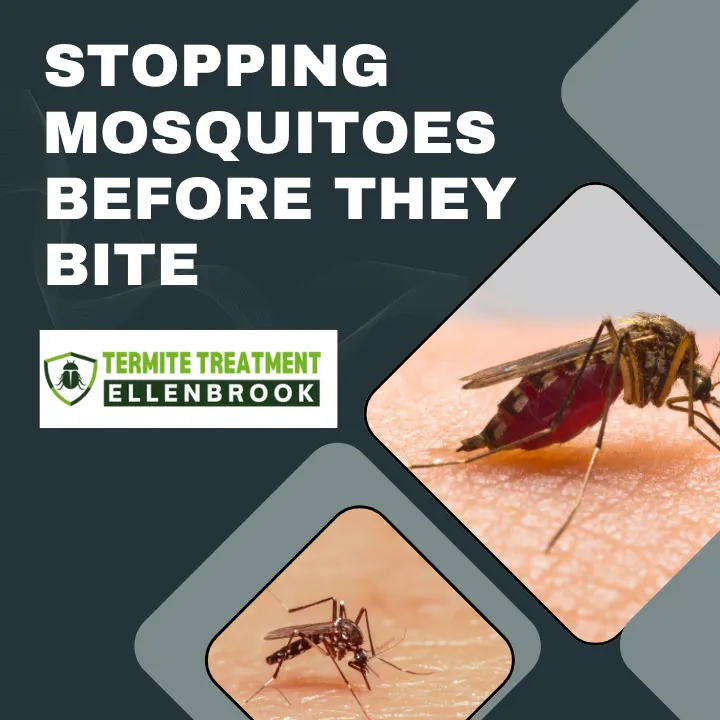stopping-mosquitos-before-they-start