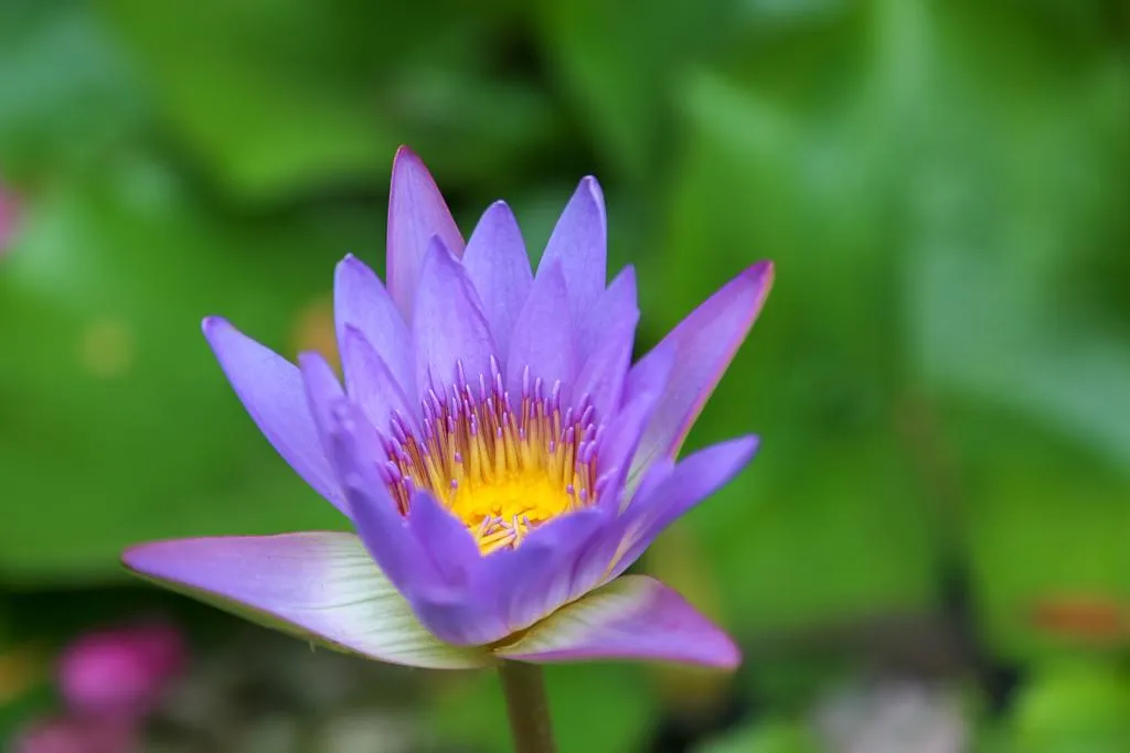 Navigating the Tide of Change: A Guide for Future CXOs