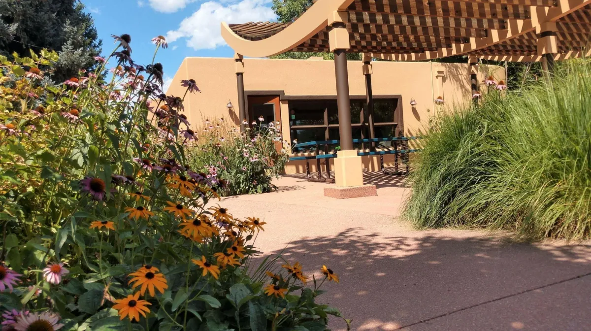  Majestic View Open Space: Where Arvada Shows Off Its Wild Side